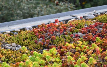 the cost of Ormeau green roof installation