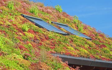 Ormeau living roof systems