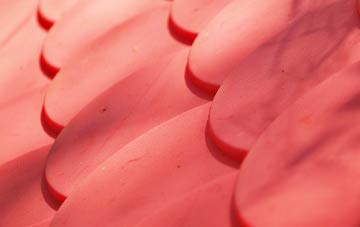 Ormeau plastic roof costs