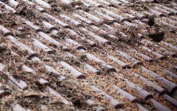 Ormeau roof cleaning companies