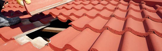 compare Ormeau roof repair quotes