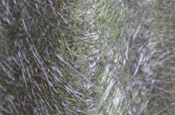 Ormeau fibreglass roof work